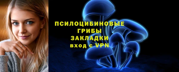 индика Алзамай