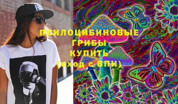 прущие грибы Алексеевка