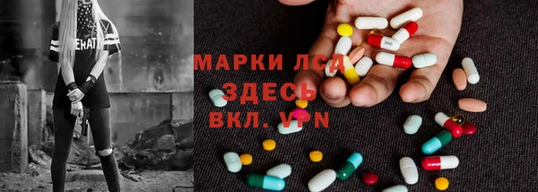 индика Алзамай