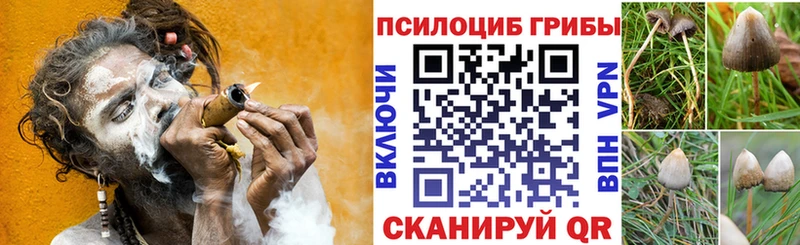 купить наркотик  Ярцево  Галлюциногенные грибы мухоморы 