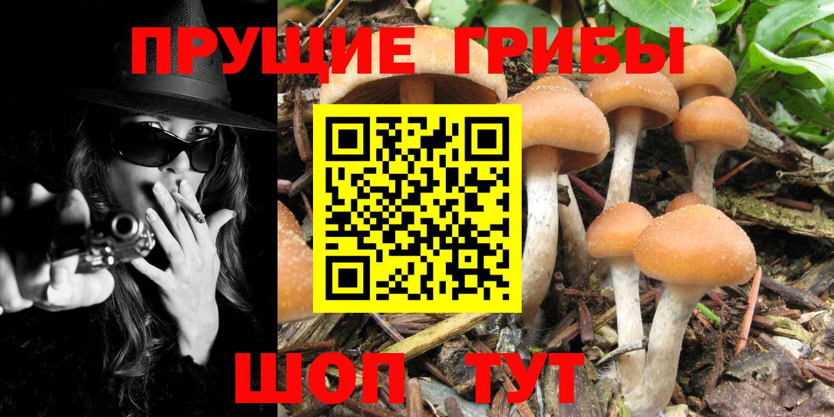 Галлюциногенные грибы прущие грибы Ярцево